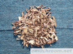 供应美味牛肝菌Ｃ级  内销 无虫片