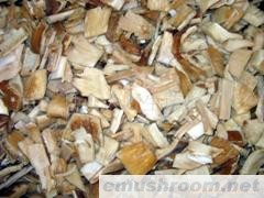 供应速冻大鸡枞菌(开片)