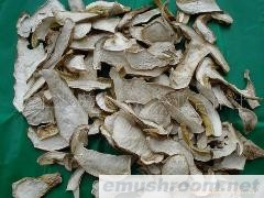 A级,美味牛肝菌