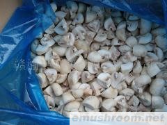供应双孢菇(四分之一块)