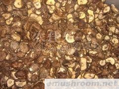 供应香菇,今年新产,冬菇 ,mushroom