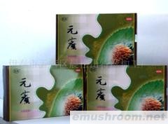 供应东北野生元蘑、黑木耳、五味子、松籽、榛子、五加