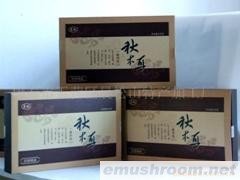 供应东北野生压缩秋木耳，五味子、五加参、松籽、榛子