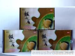 供应东北特产野生猴头蘑菇、松仁、五味子、黑蚂蚁、