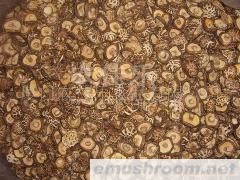 供应香菇,新季花菇3-4cm,mushroom