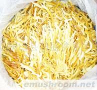 供应盐渍黄金针菇,金针菇罐头,桶装,