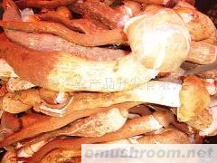 供应云南野生ManBetX体育-鸡枞干品