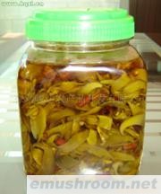 供应云南野生Manbetx体育手机版推荐A9版本-清水菌