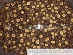 供应香菇新季平足光面菇AA级3-4mushroom