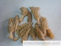 供应冰冻Manbetx体育手机版推荐A9版本