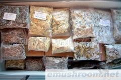 供应冷冻野生ManBetX体育