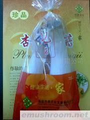 供应礼品菇