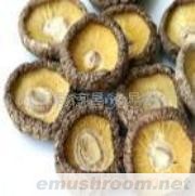 供应干香菇