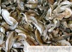 供应云南野生ManBetX体育-美味牛肝菌干品