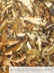 供应云南野生ManBetX体育-美味牛肝菌