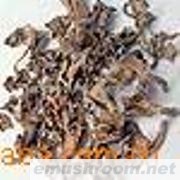 供应云南野生Manbetx体育手机版V17版本发布.官网安卓网.香港-鸡油菌干品