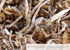 供应云南野生Manbetx体育手机版V17版本发布.官网安卓网.香港-鸡枞干品