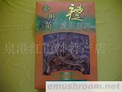 供应茶树菇