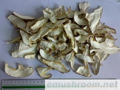 供应干香菇片