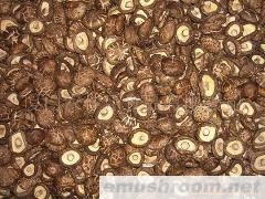 供应香菇大量出售