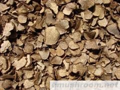 供应块菌 牛肝菌  鸡油菌