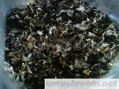 供应Manbetx体育手机版V17版本发布.官网安卓网.香港灰树花碎片