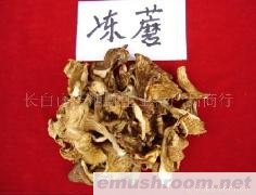 供应野生蘑菇