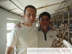 菌棒技术之父提供各种菌棒