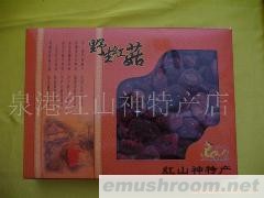 供应特等红菇礼盒