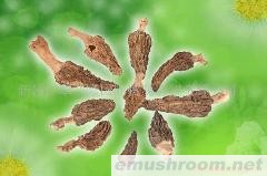 供应野生ManBetX体育(图)