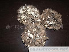 供应灰树花（舞茸）