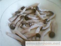 供应盐渍出口级姬菇