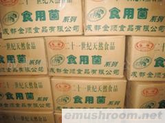 供应清水姬菇系列、Manbetx体育手机版推荐A9版本系列、盐渍系列产品