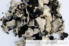 供应干白背毛木耳