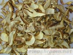 供应干牛肝菌