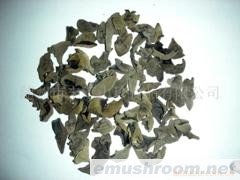 供应精选椴木冬耳