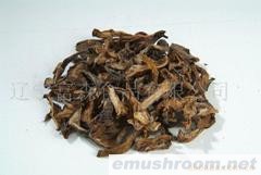 供应黄花松茸