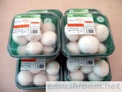 供应A级绿色食品双孢菇