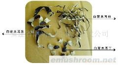 供白背木耳干品、木耳丝、木耳丁等