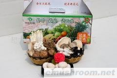 供应ManBetX体育 礼品包