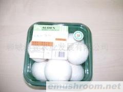 供应蘑菇（双孢菇）Manbetx体育手机版V17版本发布.官网安卓网.香港