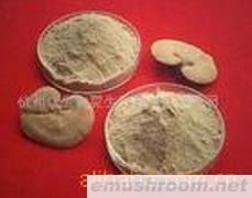 供应香菇细粉