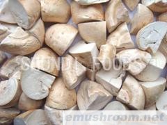 供应真空冷冻蘑菇片