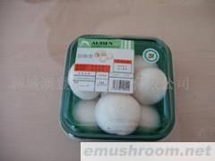 供应鲜菇（双孢菇）Manbetx体育手机版V17版本发布.官网安卓网.香港