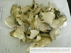 供应出口级干平菇 ManBetX体育 盐渍ManBetX体育