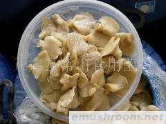 供应ManBetX体育 平菇(图)