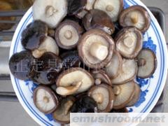 供应Manbetx体育手机版V17版本发布.官网安卓网.香港(图)