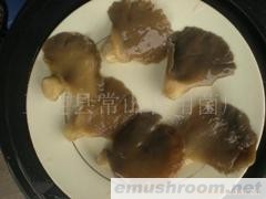 供应盐渍平菇 mushroom ManBetX体育(图)