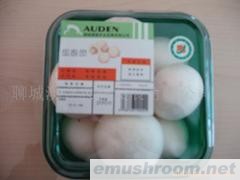 供应新鲜蘑菇（双孢菇）Manbetx体育手机版推荐A9版本