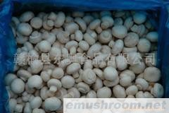 供应速冻双孢菇